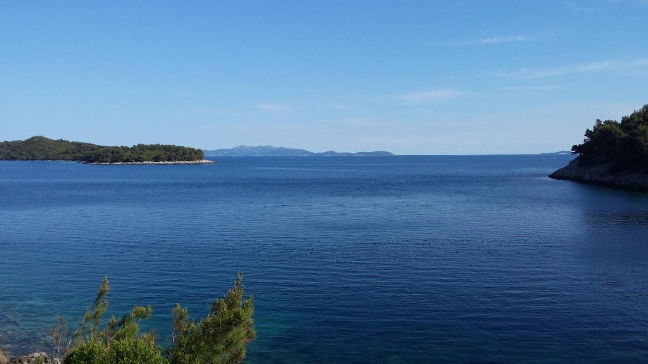 Apartments By The Sea Cove Zaglav, Korcula - 12208 Prizba Εξωτερικό φωτογραφία